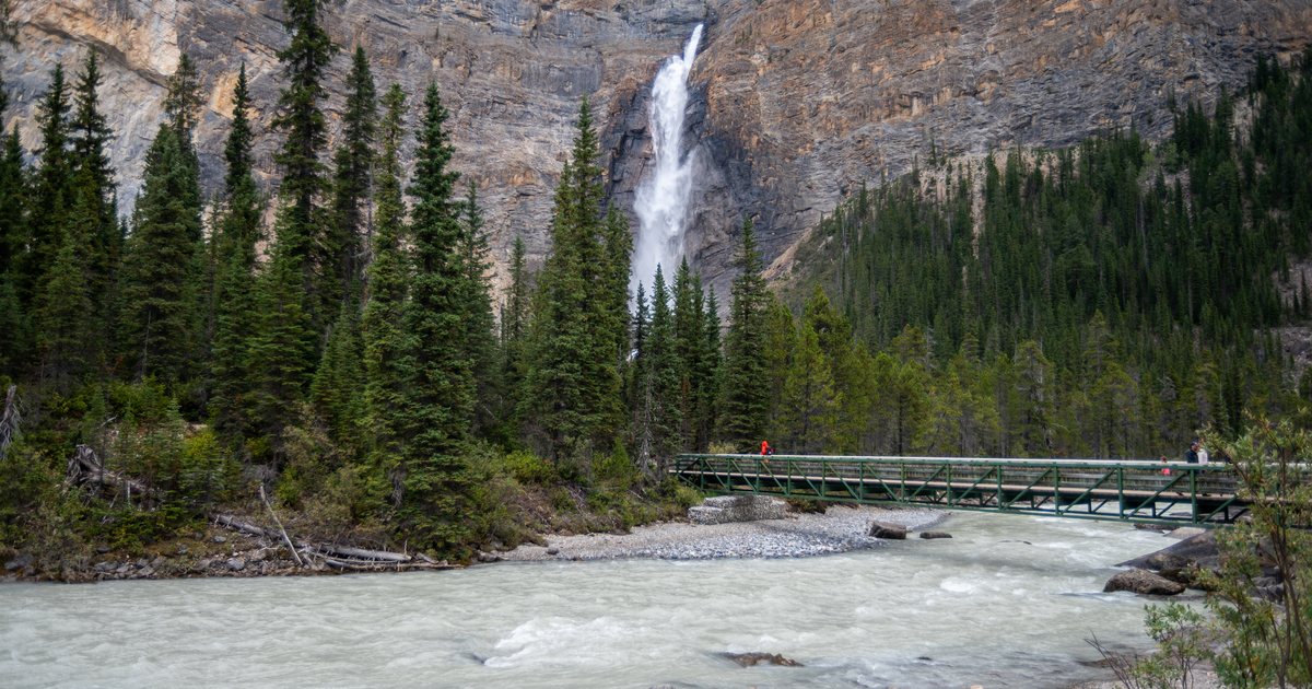 A waterfall and forest in Yoho National Park, Canada